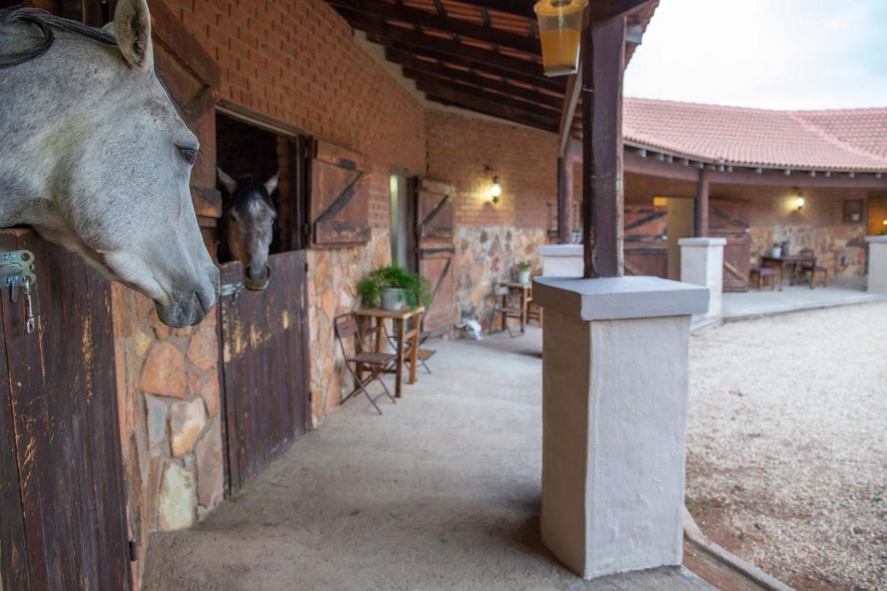 Вілла Mount High Luxury Stables Лейденбурґ Екстер'єр фото