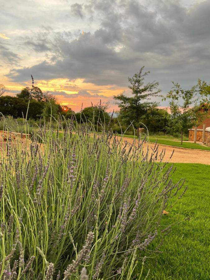 Вілла Mount High Luxury Stables Лейденбурґ Екстер'єр фото